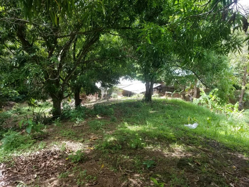 Imagen 7 de 12 de Vendo O Cambio Terreno Con Casa Cercada
