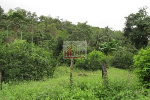 Oaxaca San Felipe Zihualtepec Santiago Yaveo Terreno Rustico En Venta