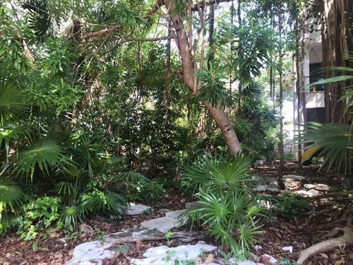 Imagen 1 de 7 de Terreno En Venta En Playa Del Carmen