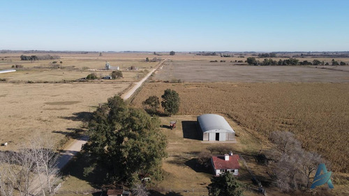 Imagen 8 de 30 de Campo Mixto - 27 Hectáreas - Con Excelentes Mejoras - Carmen De Areco