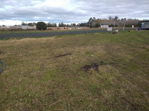 Imagen 2 de 3 de Lote Para Siembra O Loteo Zona Batan
