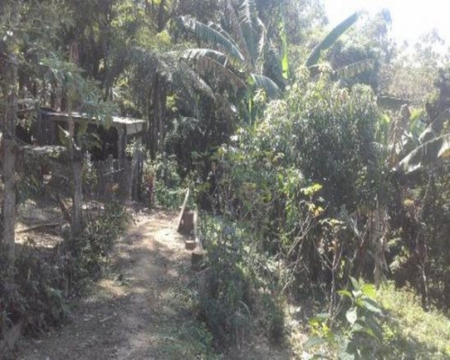 Imagem 5 de 11 de Casa - Ca00239 - 34262078
