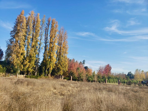 Terreno En Condominio / San Fernando / Viña Casa Silva