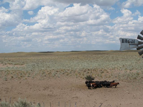 Campo En Venta De 28.000 Has En Gral Alvear, Mendoza. Armado De Cría/recría