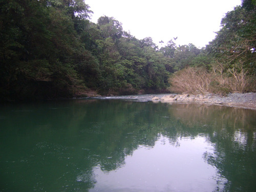Imagen 9 de 24 de Finca Vacacional- Hosteria