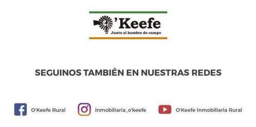 Imagen 16 de 18 de Chacra En Venta De 40 Has - En Saladillo Campo Mixto Con Mejoras