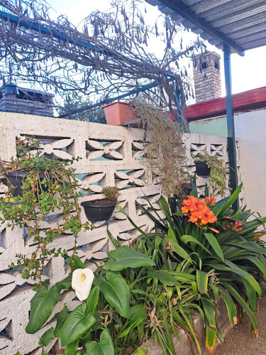 Venta De Casa Con Dos Dormitorios En Colón, A Una Cuadra De Avenida Garzón Y Dos Minutos De Sayago
