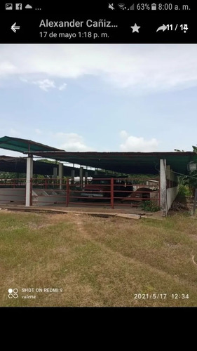 Imagen 24 de 30 de Finca 220 Ha Privadas, Estado Apure