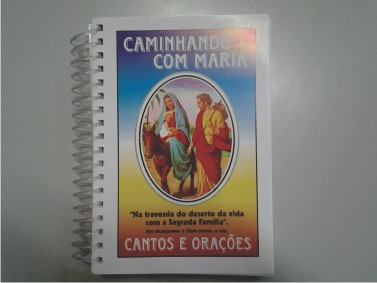 Livro Caminhando Com Maria