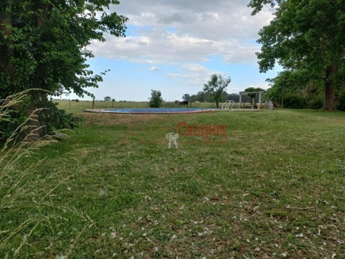 Imagen 18 de 30 de Venta De Campo De 21 Has Entre Jeppener Y Ranchos