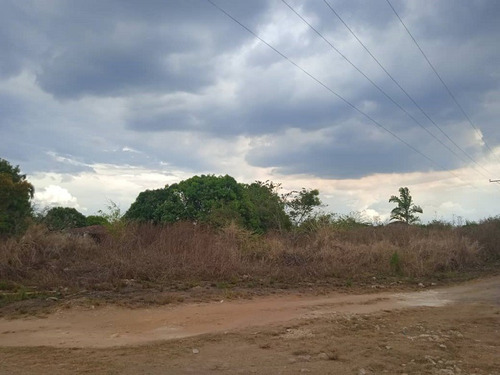 Terreno En Venta En Tocuyito, Safari Carabobo Country Club Uno (yl)