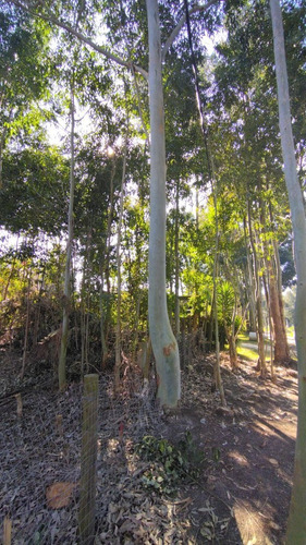 Imagen 15 de 24 de Terreno En Venta En Balneario Buenos Aires