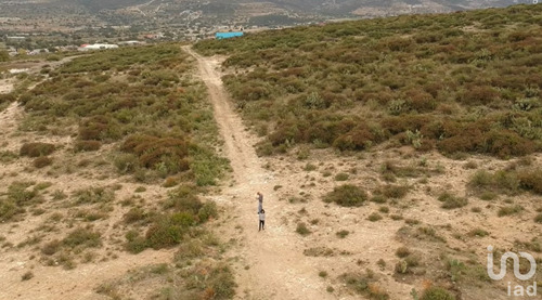 Venta Terreno 0 Ambiente San Juan Tizahuapan