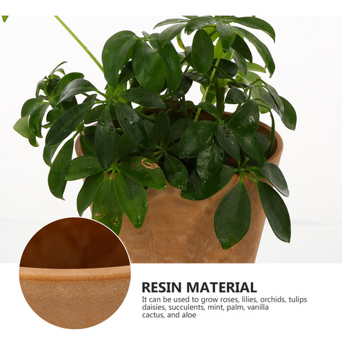 Maceta Sencilla Para El Hogar, Maceta De Jardín, Decoración