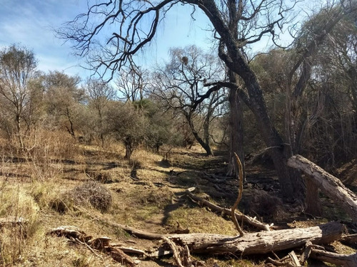 Imagen 12 de 17 de Campo De 100 Hectareas Con Casa En Tulumba, Provincia De Cordoba