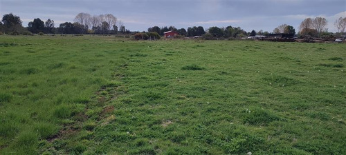 Imagen 7 de 11 de Se Vende Terreno Agrícola 1,5 Ha Quema Del Buey, Puyehue,