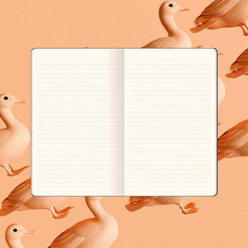 Libreta Apuntes Lineal Flexbook Notebook 194 Pags, 13x21 Cm