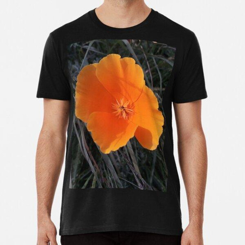 Remera Amapola Naranja Hermosas Flores Floral Algodon Premiu