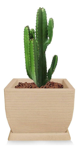 Vaso De Planta + Prato Quadrado Em Polietileno 30x40 Areia