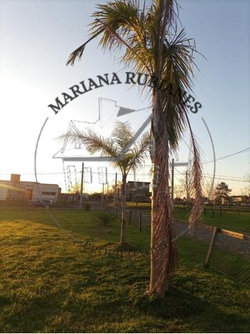 Terreno A La Venta En Escobar
