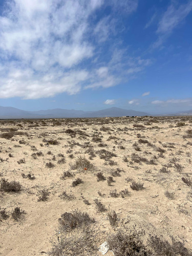Parcela Punta De Choros Iv Región Orilla De Camino