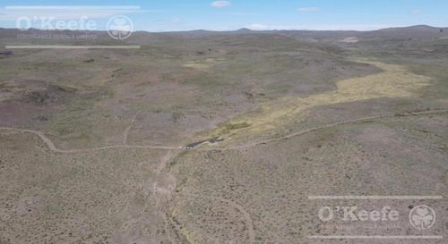 Imagen 6 de 28 de 8.805 Has En Neuquen Venta / Alquiler, Con 18 Km De Costa Del Embalse Piedra Del Águila.