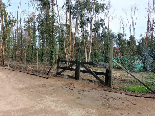Imagen 3 de 9 de Maitencillo, Sitio En Condominio Con Excelente Plusvalía