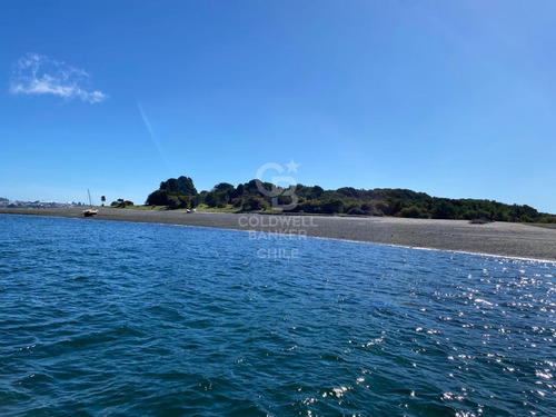 Isla Chaullin Helvecia. Arrayanes Milenarios, Calbuco.