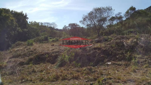 Imagem 2 de 2 de Terreno - Sao Luiz Da Sexta Legua - Ref: 6242 - V-6242