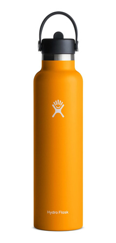 Hydro Flask 24 Oz Standard Mouth Water Bottle With Flex Cap