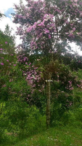 Imagem 4 de 5 de Terreno, Sapateiro, Embu-guaçu - R$ 150 Mil, Cod: 2302 - V2302
