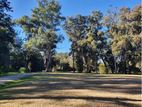 Terreno En Barrio Los Alamos - Estancia Villa Maria