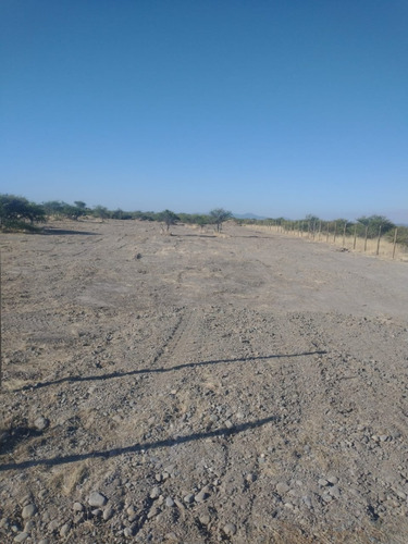 Parcela De 5.000m2 Cercada , San Ignacio Cauquenes.