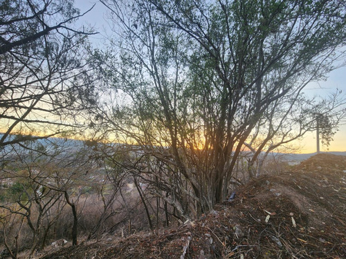 Venta Lote Jazmín De Vistas Espectaculares Con Todos Los Servicios Y Proyecto Incluído Dentro De Fracc Rancho San Diego Ixtapan De La Sal Edomex
