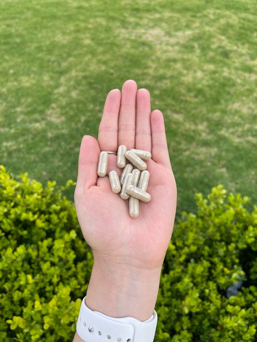 Ashwagandha Raíz 100% Pura 120 Caps Ksm-66 Premium Sin Sabor