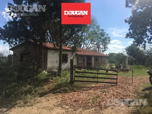 Campo - Junin - foto 1
