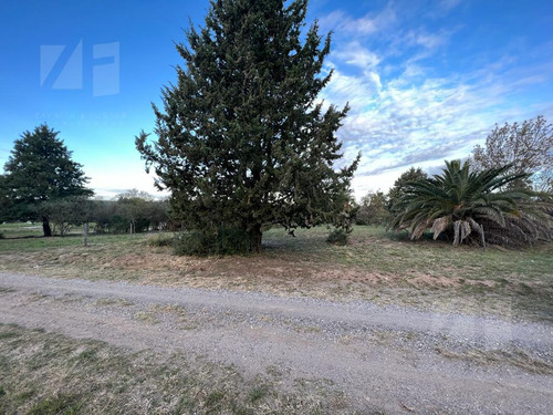 Cuarta Etapa Excelente Vista 511m2