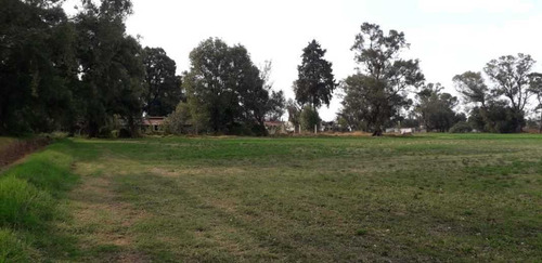 Imagen 8 de 13 de Rancho En Venta En Teoloyucan