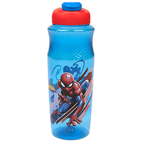 Spider-man Character 30oz Sullivan Water Bottle, Blue,r...