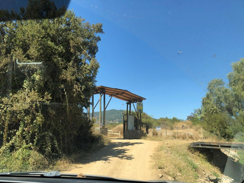 Parcela 5000 M2 Con Casa 120 M2, Sector San Carlos. Teno