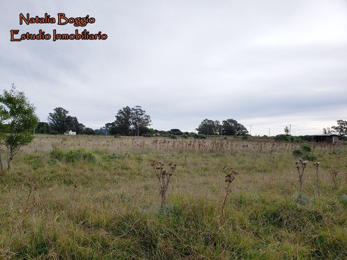 Imagen 3 de 11 de Lote En Arenas De Oro Calle Sarmiento Y Carlos Pellegrini