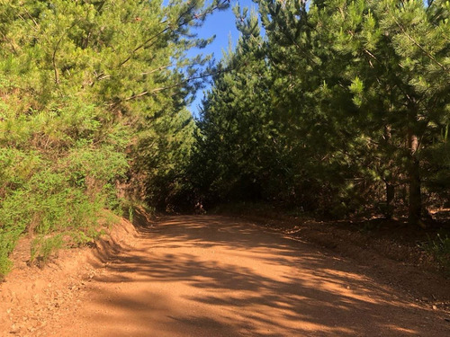 Buscas Un Estilo De Vida En ArmonÃa Con La Naturaleza?