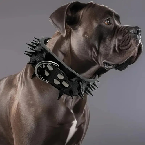 Collar Para Perro Tipo Cuero Con Picos Ajustable Xs,s ,m, L