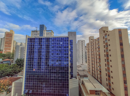 Imagem 8 de 10 de Sala Para Comprar No Lourdes Em Belo Horizonte/mg - 2474