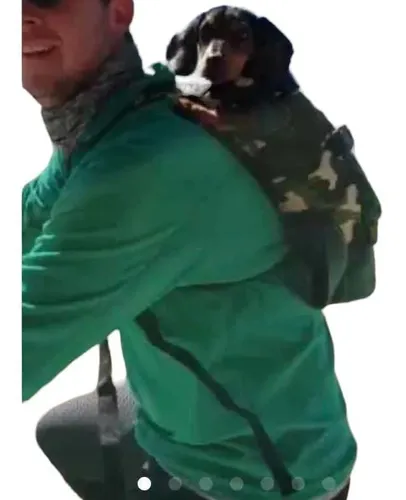 Mochila Para Perro Bicicleta MercadoLibre