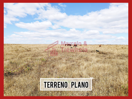 Vendo Terreno 1.6 Hectareas, Comuna De Nueva Imperial. Codig