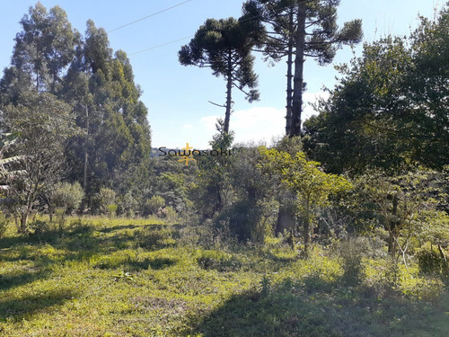 Imagem 13 de 30 de Fazenda A Venda No Bairro Colônia Murici Em São José Dos - 5836-1