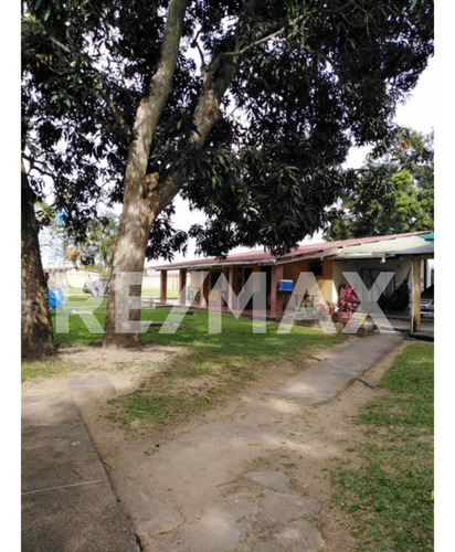 Imagen 8 de 8 de Se Vende Parcela De Terreno En Tipuro, Al Frente Del Humbolt