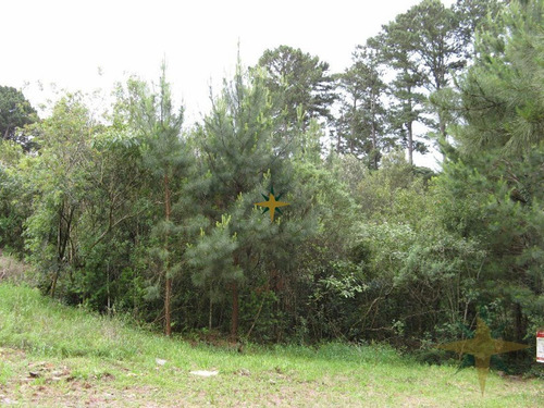 Imagem 2 de 3 de Terreno - 283