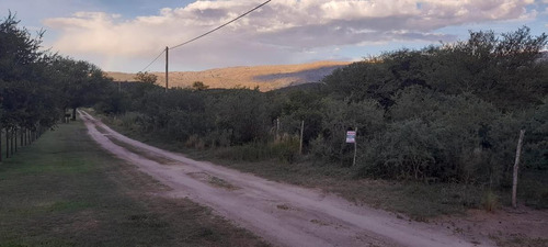 Imagen 6 de 11 de Terreno - Las Calles